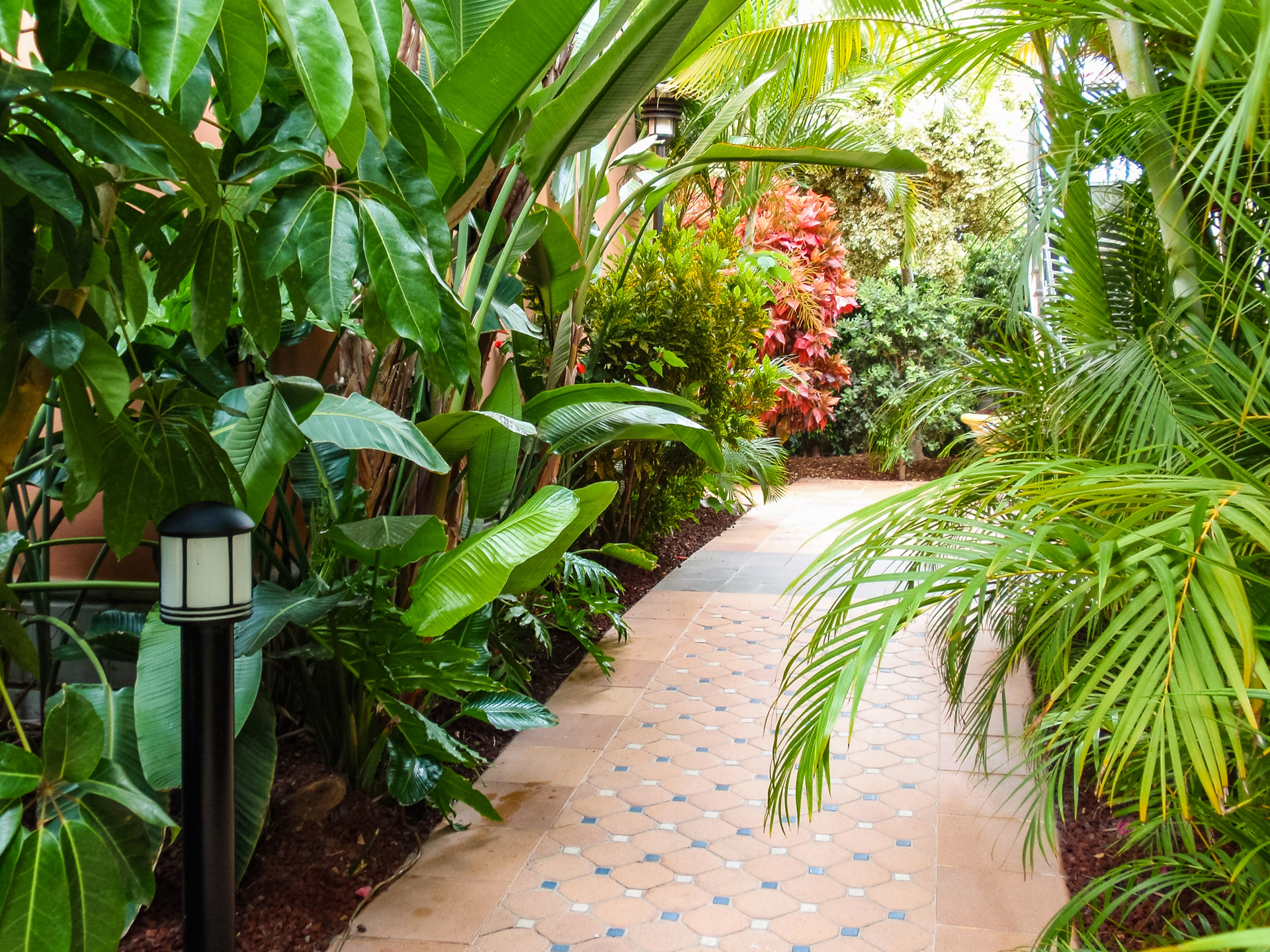 Cuánto cuesta diseñar e instalar un jardín natural personalizado