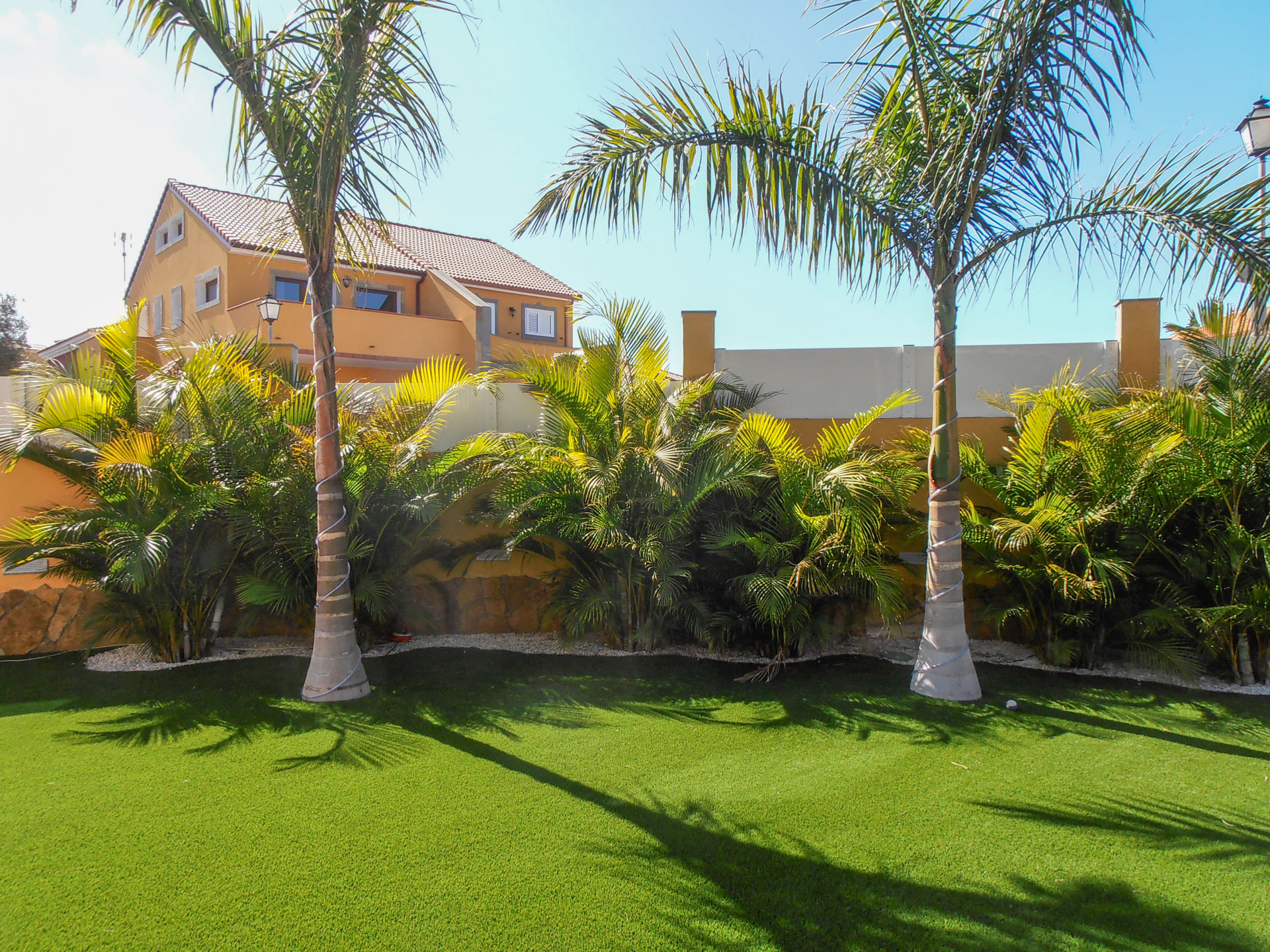 Empresa de jardinería especializada en gestión de árboles y palmeras