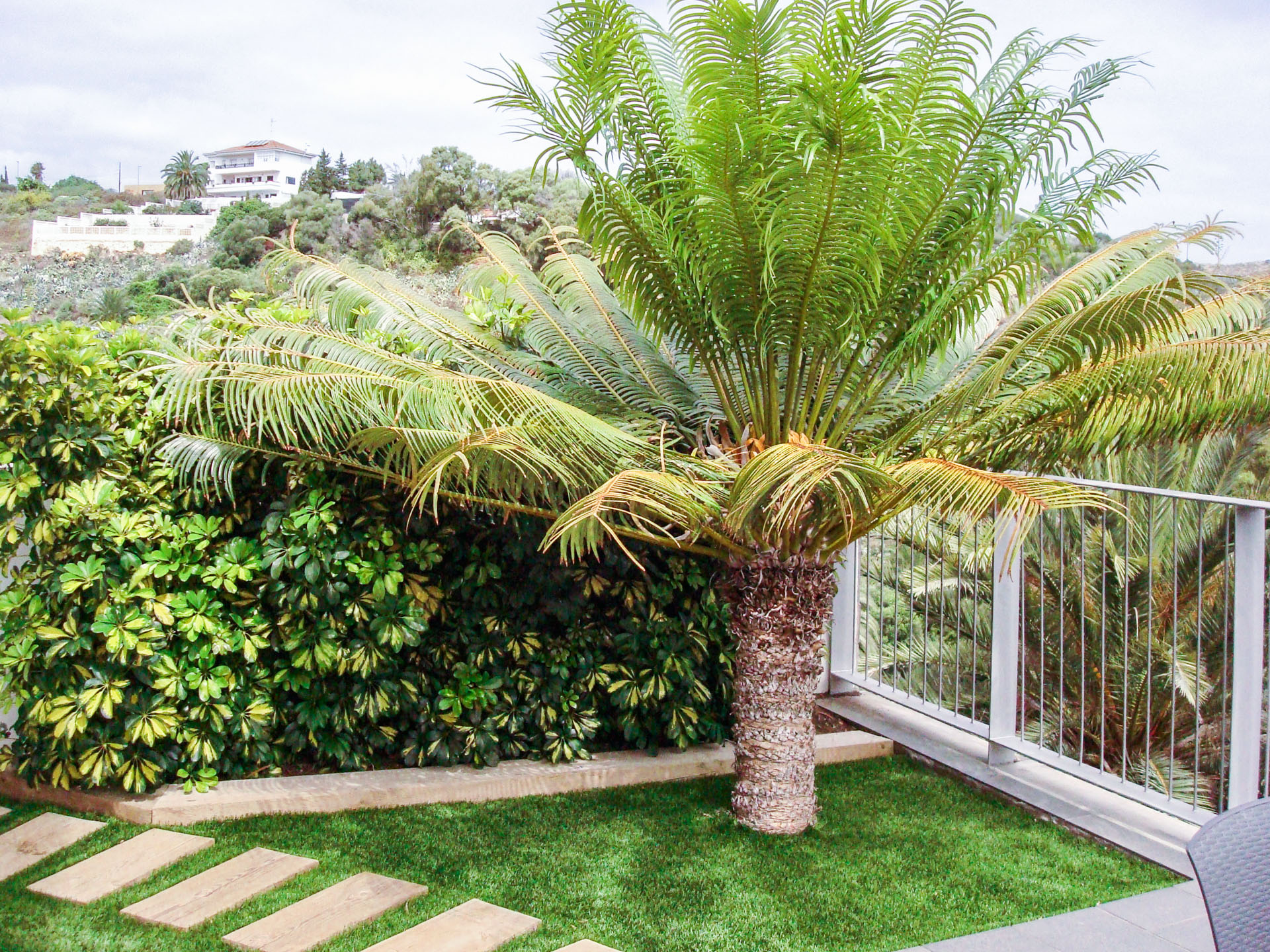 Contratar jardinero para diseño de jardín vertical y en altura en Las Palmas de Gran Canaria